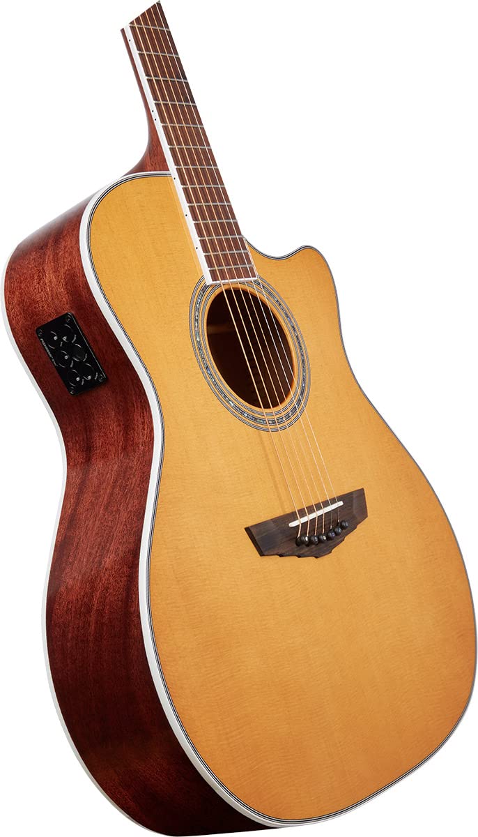 Amazon | D'Angelico Excel Gramercy XT, Vintage Natural | エレアコ